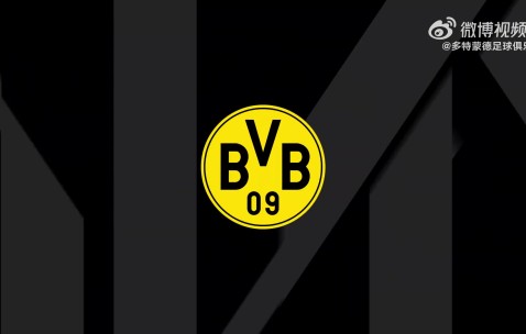 kaiyun-樊振东与波尔到访多特+踢球🤣樊振东调侃：尽力了但踢得不咋地